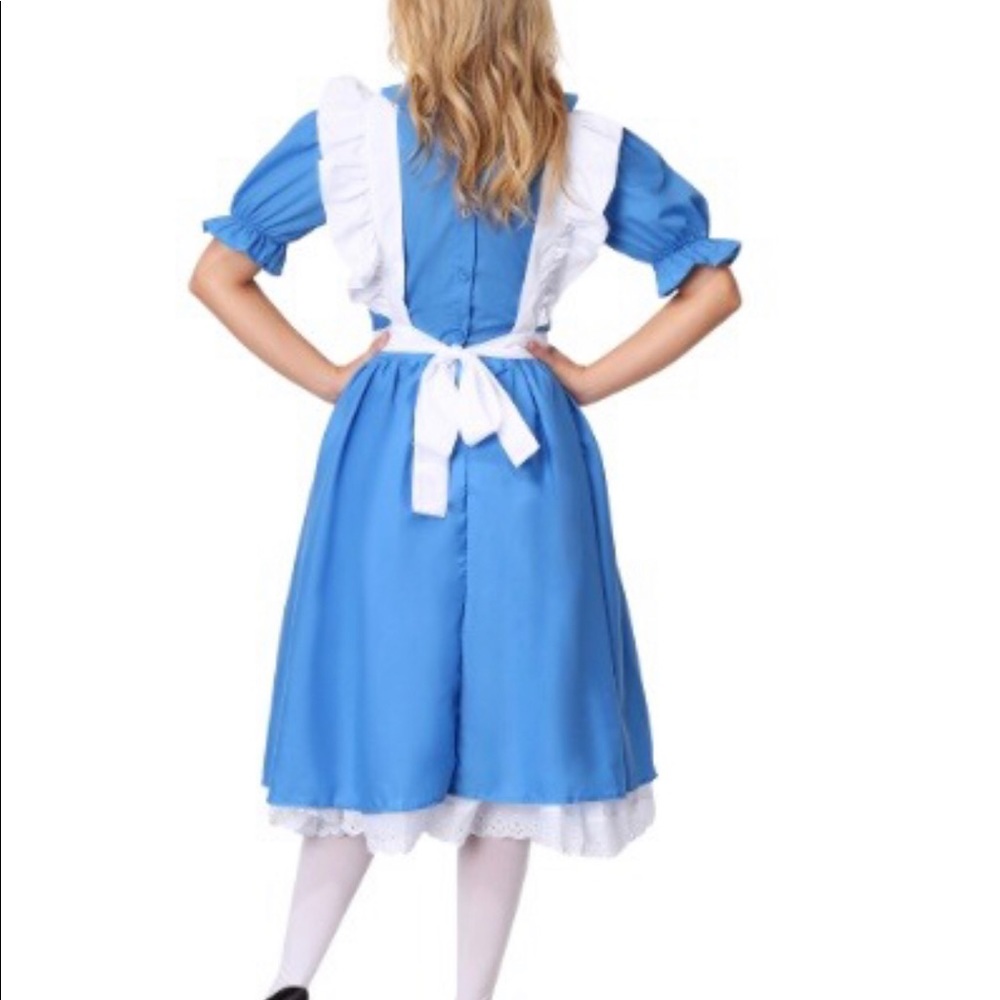 Adult Alice in wonderland costume
